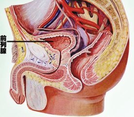 前列腺囊肿会传染给别人吗